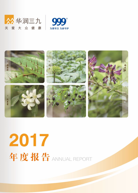 尊龙时凯：2017年年度报告